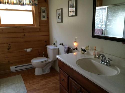 New HopeBeautiful Log Home, Lake side.的一间带水槽、卫生间和镜子的浴室