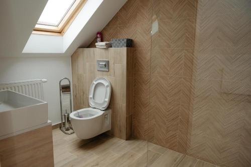 PrejmerGuest House Zanoaga的一间带卫生间和水槽的浴室