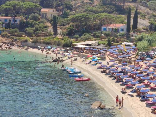 Isola del GiglioCasa girasole的一群人在海滩上,带椅子和遮阳伞