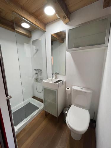 拉苏维亚Acogedor apartamento con fantásticas vistas.的浴室配有卫生间、盥洗盆和淋浴。