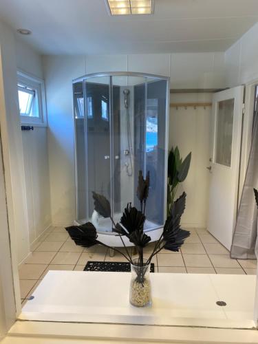 弗加尔巴卡Marinan Richters的带淋浴的浴室和植物花瓶