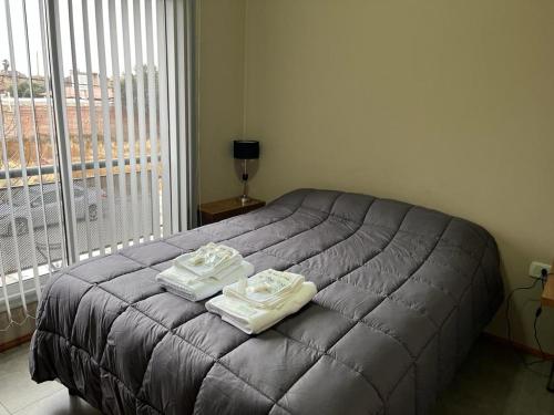 La ConsultaALBORES DE UCO的一间卧室配有一张床,上面有两条毛巾