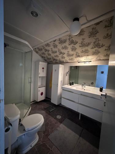 利勒斯特罗姆Nedre Kjellerstuvei, Oslo House Second floor的一间带卫生间、水槽和镜子的浴室