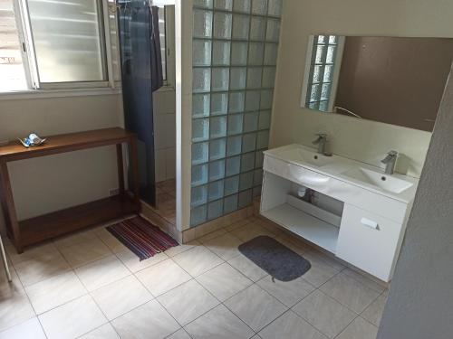 圣丹尼斯LocaTriolet的一间带水槽和镜子的浴室