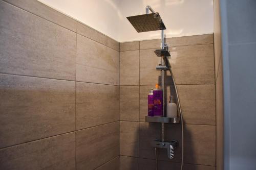 阿伊多夫什契纳Apartma Darsi的浴室内配有淋浴和头顶淋浴