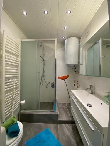 索内纳尔佩·纳斯费尔德Apartment "Herbert" Sonnleitn/Nassfeld的带淋浴、卫生间和盥洗盆的浴室