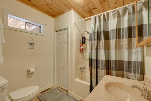 格林维尔Family-Friendly Afton Cabin with Spacious Yard!的浴室配有卫生间、盥洗盆和淋浴。