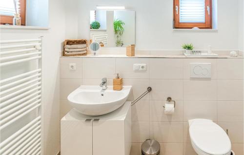 哈瑟尔贝格Awesome Apartment In Hasselberg With Kitchen的白色的浴室设有水槽和卫生间。
