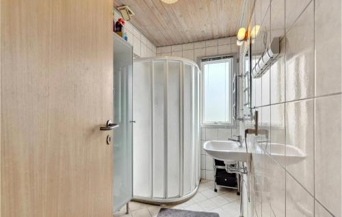 阿森斯Pet Friendly Home In Assens With House A Panoramic View的带淋浴和盥洗盆的浴室