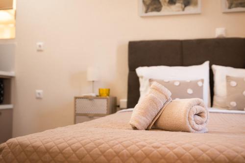 考瑙皮迪亚纳Plakoures Home的一间卧室配有带毛巾的床