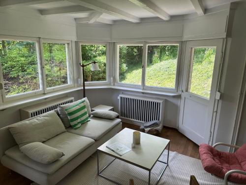 欣特察尔滕Holiday Home Kesslerberg by Interhome的带沙发的客厅和部分窗户。