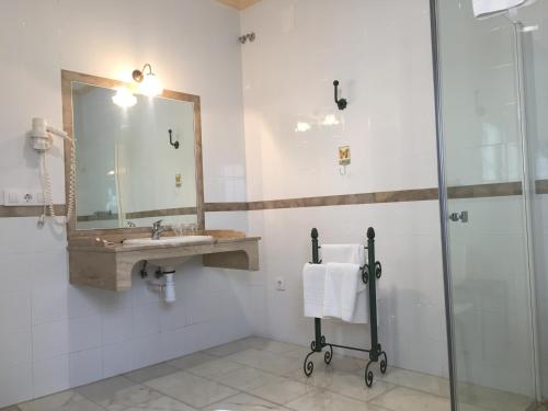Ribera del FresnoHotel Bodega el Moral的带淋浴、盥洗盆和镜子的浴室
