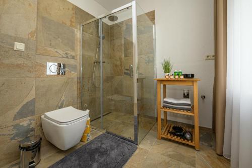 高塔特拉山Vila Kollár Apartmán 2的一间带卫生间和玻璃淋浴间的浴室