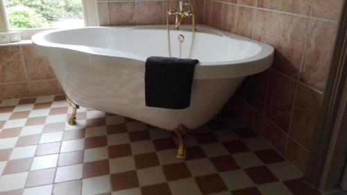 SuawoudeB&B De Warren的带浴缸的浴室,铺有 ⁇ 格地板