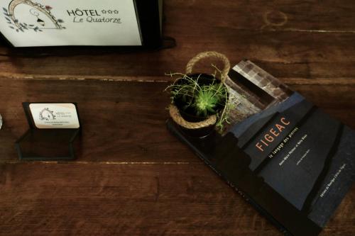 菲雅克勒夸特尔兹酒店的坐在桌子上书旁边的盆栽植物