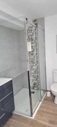 拉弗雷切Gite Les Courbes的一间带卫生间的浴室内的玻璃淋浴间