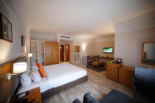 亚的斯亚贝巴Mado Hotel的一间带大床的卧室和一间客厅
