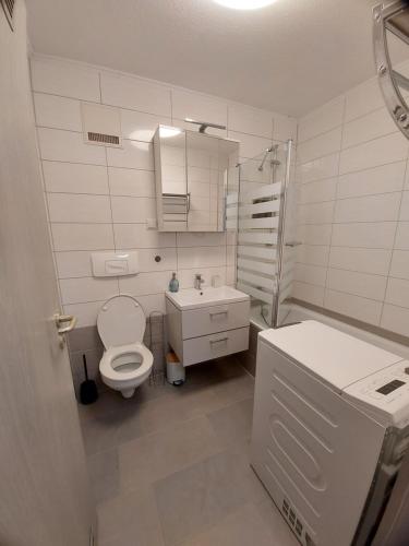 莱比锡StayInn Möckern - 1 Zimmer Apartment für 3 Personen的白色的浴室设有卫生间和水槽。