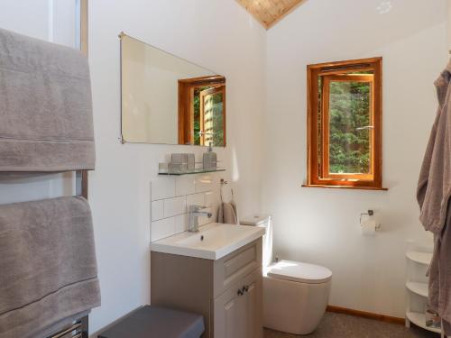 克雷迪顿Nelli Lodge at Mile End的一间带水槽、卫生间和镜子的浴室