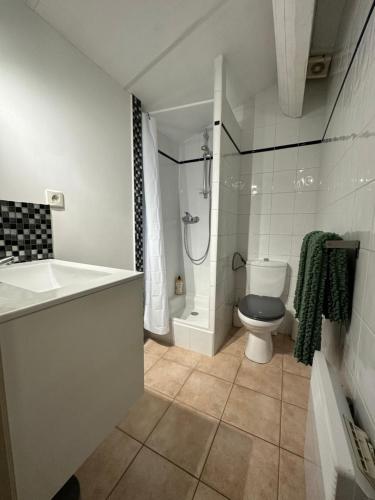 莫吉奥Le mas du bosc的浴室配有卫生间、淋浴和盥洗盆。