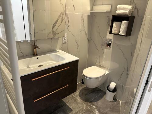 维希LA TORNADE Villa roof top hypercentre Vichy的浴室配有白色水槽和卫生间。