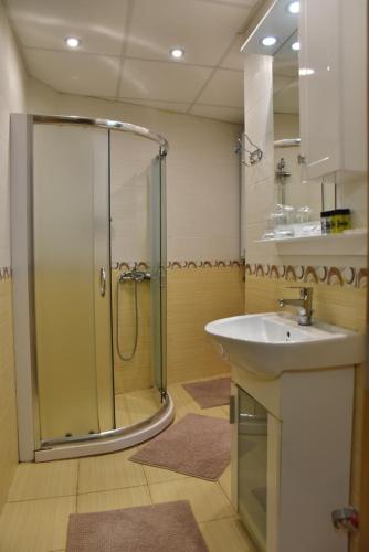大特尔诺沃Paradise Apartment - Breathtaking View的带淋浴和盥洗盆的浴室