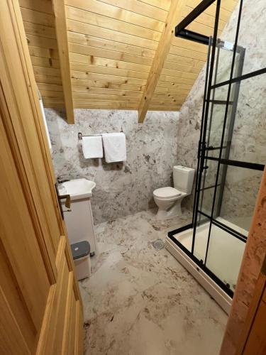 比耶洛波列Bali Mountain resort Montenegro的未完成的浴室,设有卫生间和玻璃门
