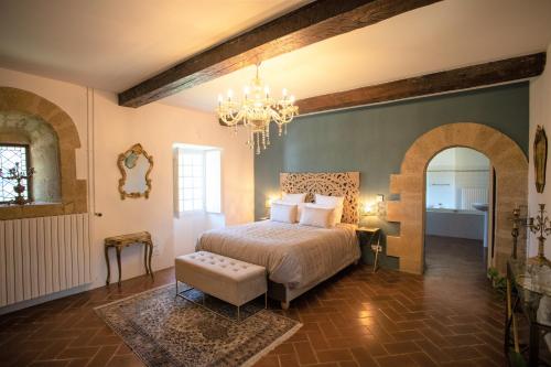 PuyvertChâteau Saint-Pierre de Mejans的一间卧室配有一张床和一个吊灯
