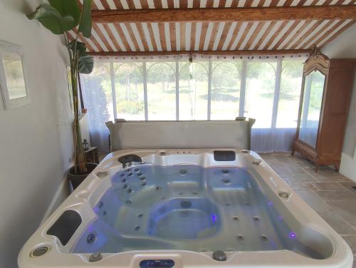 MérindolLes Grandes Terres - Gîtes & SPA的一个带窗户的客房内的按摩浴缸