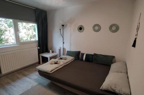 凯斯特海伊Flóra House 3 minutes from Lake Balaton的客厅设有棕色的沙发和窗户。