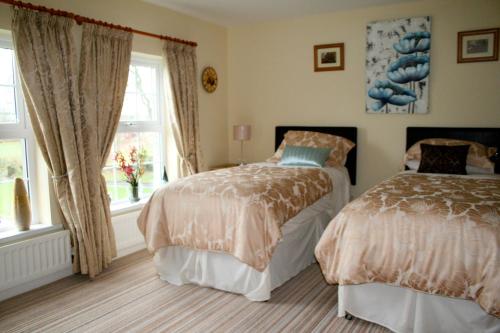 安特里姆Ballyharvey B&B的一间卧室设有两张床和窗户。