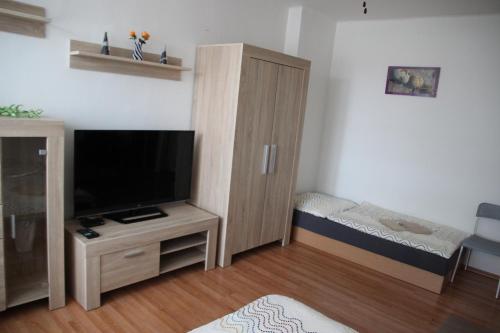 利托米什尔Prázdninové ubytování - celý byt jen Váš的客厅配有平面电视和橱柜。