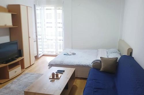 比耶洛波列Apartman Selma - Bijelo Polje的客厅配有蓝色的沙发和电视