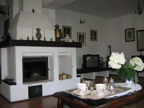 Stare OsiecznoVilla Stare Osieczno的客厅配有桌子和壁炉