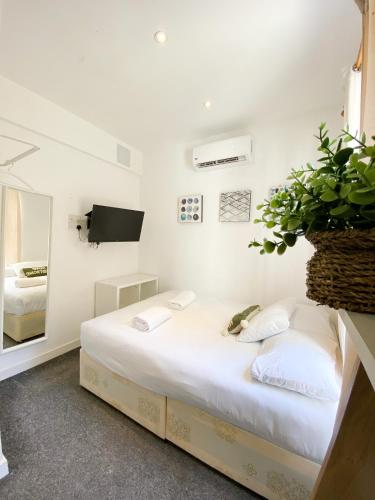 伦敦Wembar Hotel的一间卧室,配有一张带盆栽的床铺