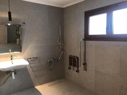 希维利Hotel Argo的一间带水槽和淋浴的浴室