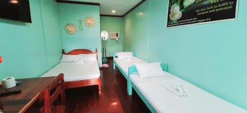 公主港Pinaluyan Guest House的一间医院间 - 带两张床和电视