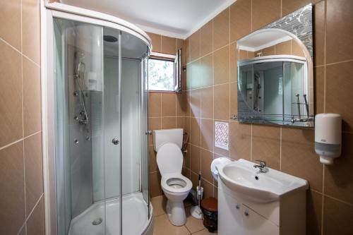 布泽乌Casa Arcadia Buzau Monteoru的带淋浴、卫生间和盥洗盆的浴室