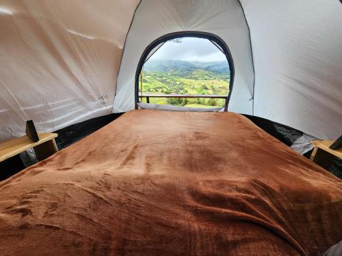 瓜塔维塔Carpe Diem的帐篷,配有一张大床和窗户