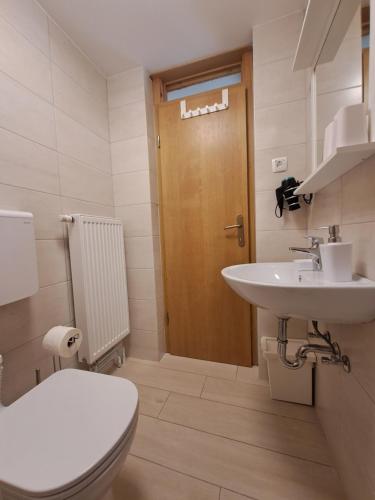 克拉尼斯卡戈拉Apartments Pr'Krštano的一间带卫生间和水槽的浴室