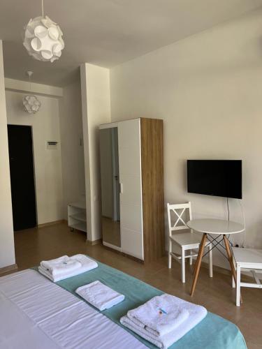 谢赫维蒂利Aparthotel Majak Shekvetili的一间卧室配有一张床、一台电视和一张桌子