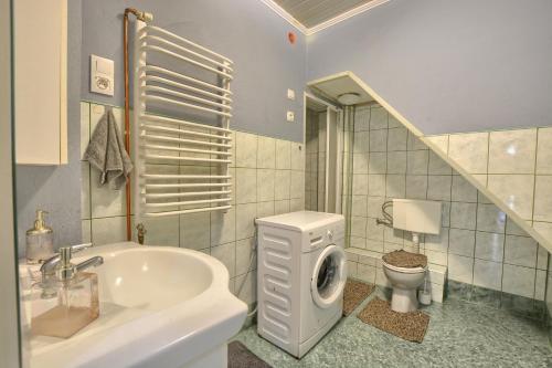 卢托维斯卡Noclegi u Kanara的一间带水槽和洗衣机的浴室