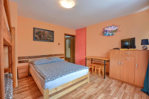 卢托维斯卡Noclegi u Kanara的一间卧室配有一张床、一张书桌和一台电视