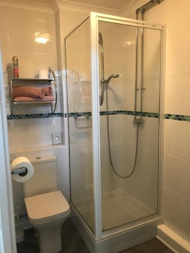 尚克林圣莱昂纳茨旅馆的浴室设有玻璃淋浴间和卫生间