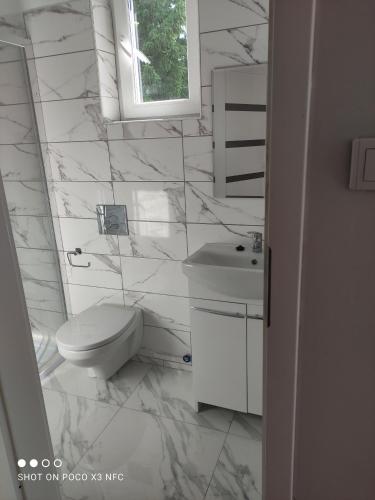 KarnitzChata pod Różą的白色的浴室设有卫生间和水槽。