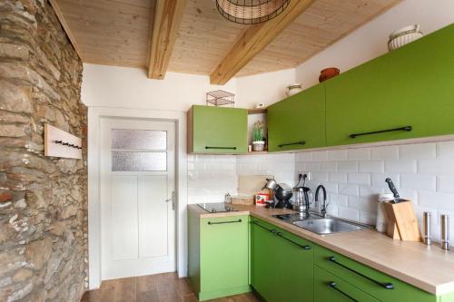 ProtivínChalupa Těšínov的厨房设有绿色橱柜和石墙