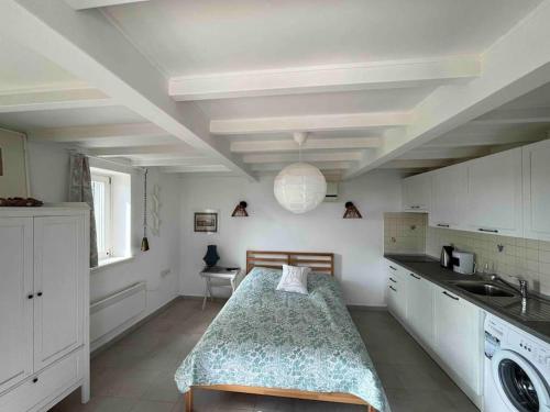 恰纳卡莱Bozcaada / Tenedos Ayana ve Midilli panoraması的一间位于客房中间的带一张床的厨房