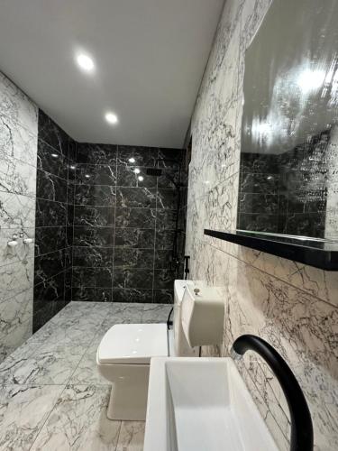 乌宗Netya Suite Hotel的一间带卫生间、水槽和镜子的浴室