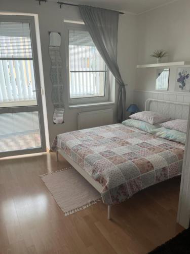 布拉迪斯拉发Apartment Sofia with terrace & parking的一间卧室设有一张床和两个窗户。