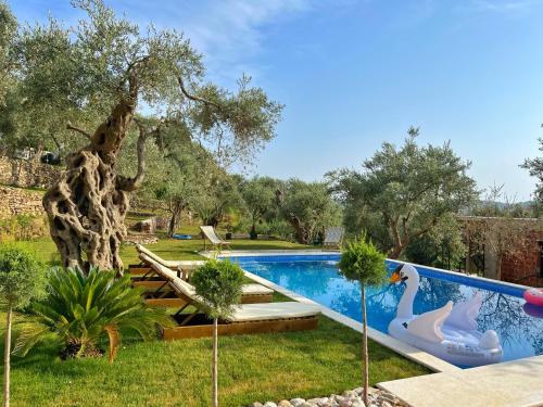 巴尔OLIVE QUEEN Rustic Villa的花园内的游泳池,带游泳池滑梯